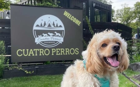 foremost_container_campsite_cuatro_perros_pet_friendly_campgrounds (1)